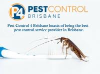 Cockroach Control Brisbane image 2